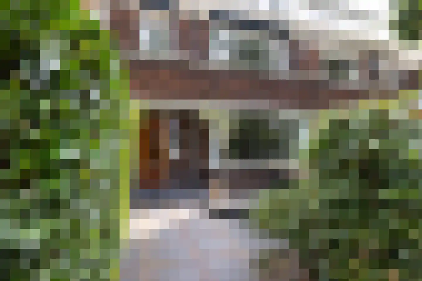 Maarten Dijkshoornlaan 17 Rotterdam thumbnail 6