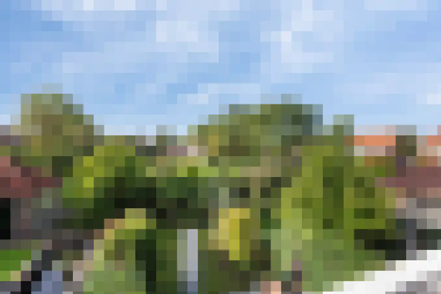 Maarten Dijkshoornlaan 22 Rotterdam thumbnail 29