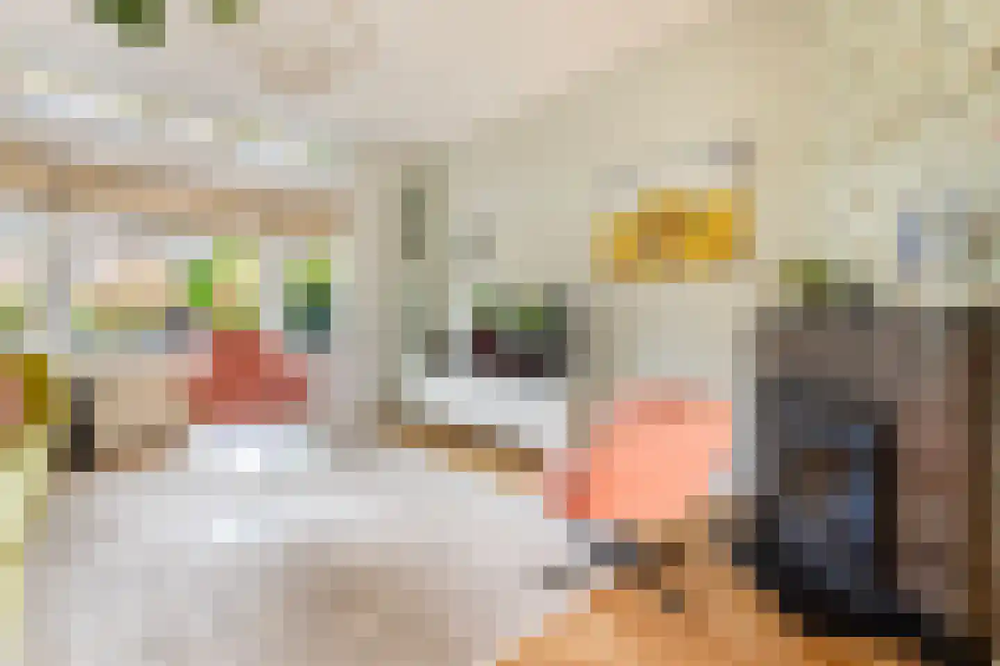 Maarten Dijkshoornlaan 22 Rotterdam thumbnail 8