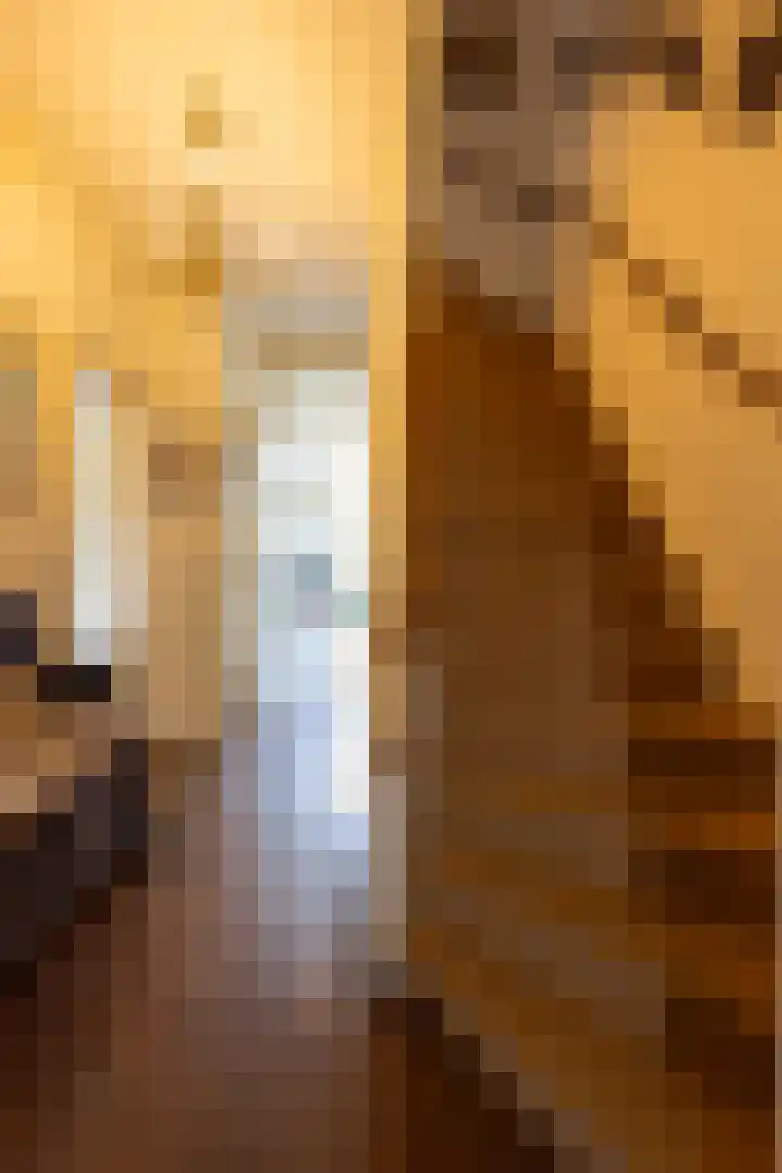 Maarten Dijkshoornlaan 35 Rotterdam thumbnail 13