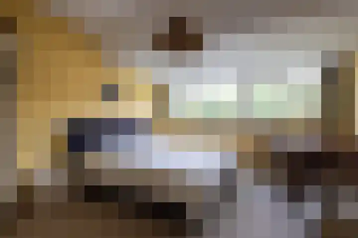 Maarten Dijkshoornlaan 35 Rotterdam thumbnail 28