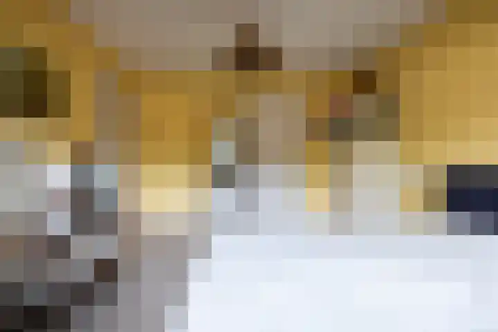 Maarten Dijkshoornlaan 35 Rotterdam thumbnail 29