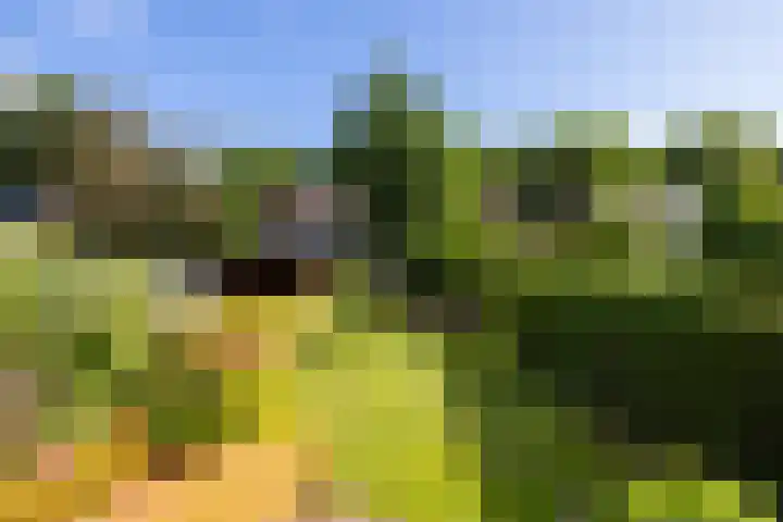 Maarten Dijkshoornlaan 35 Rotterdam thumbnail 33