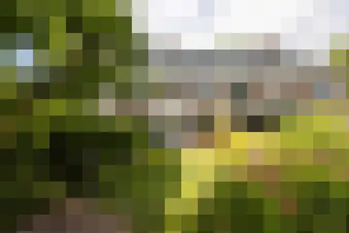 Maarten Dijkshoornlaan 35 Rotterdam thumbnail 47