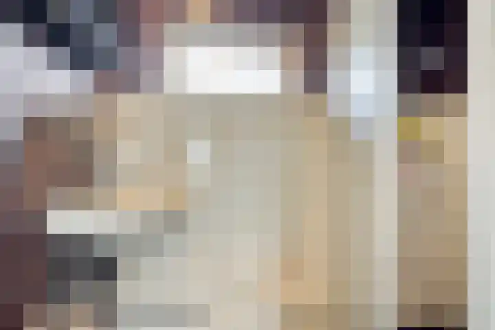 Maarten Harpertsz. Trompstraat 14 Zutphen thumbnail 13