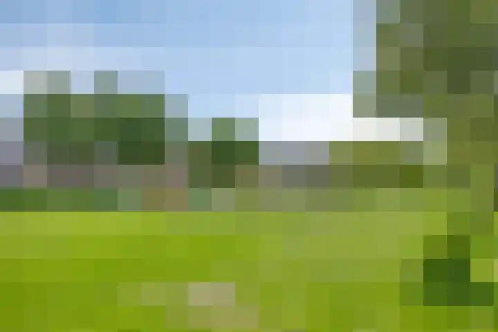 Maarten Harpertsz. Trompstraat 14 Zutphen thumbnail 25