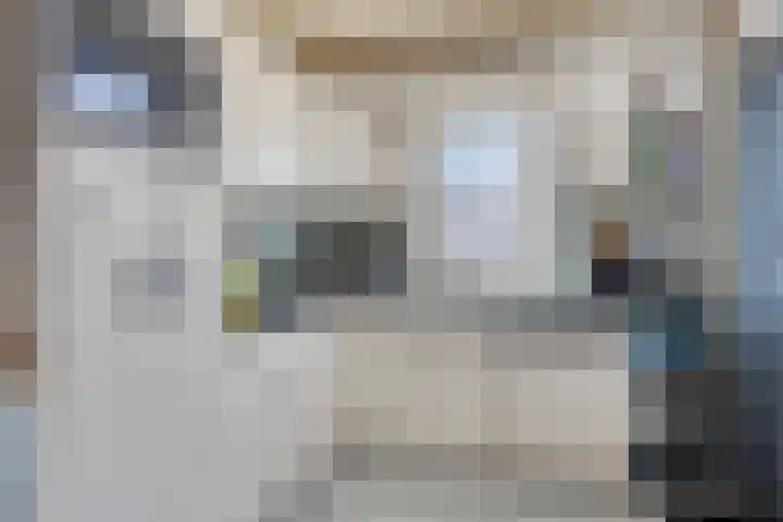 Maarten Harpertsz. Trompstraat 14 Zutphen thumbnail 8