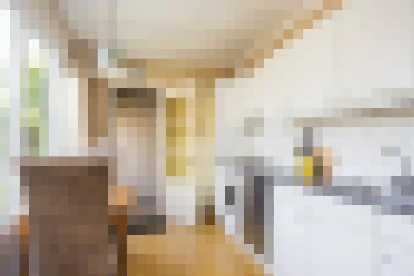 Maarten Harpertsz. Trompstraat 21 Zutphen thumbnail 10