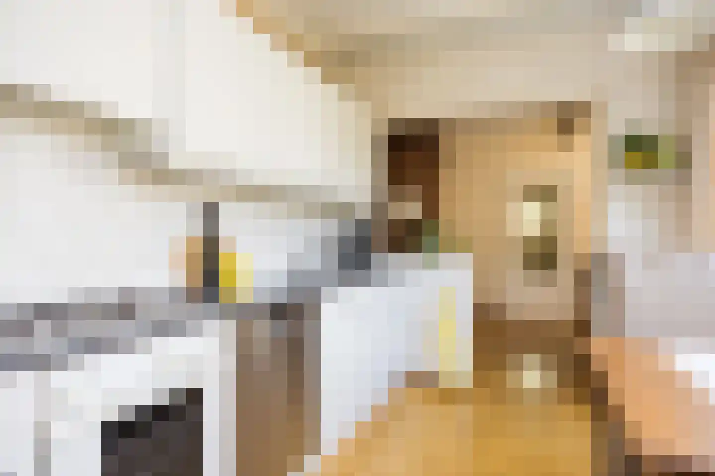 Maarten Harpertsz. Trompstraat 21 Zutphen thumbnail 11