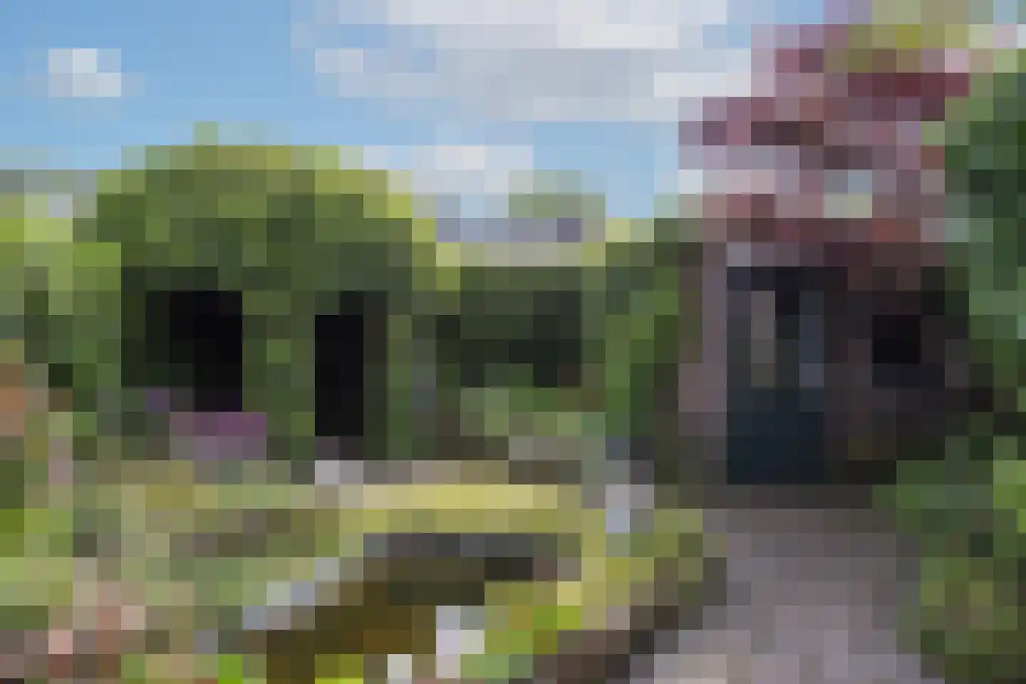 Maarten Harpertsz. Trompstraat 21 Zutphen thumbnail 20