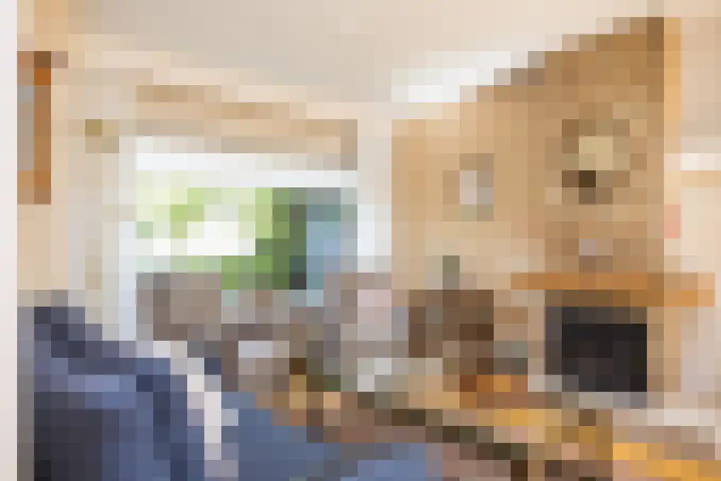 Maarten Harpertsz. Trompstraat 21 Zutphen thumbnail 6