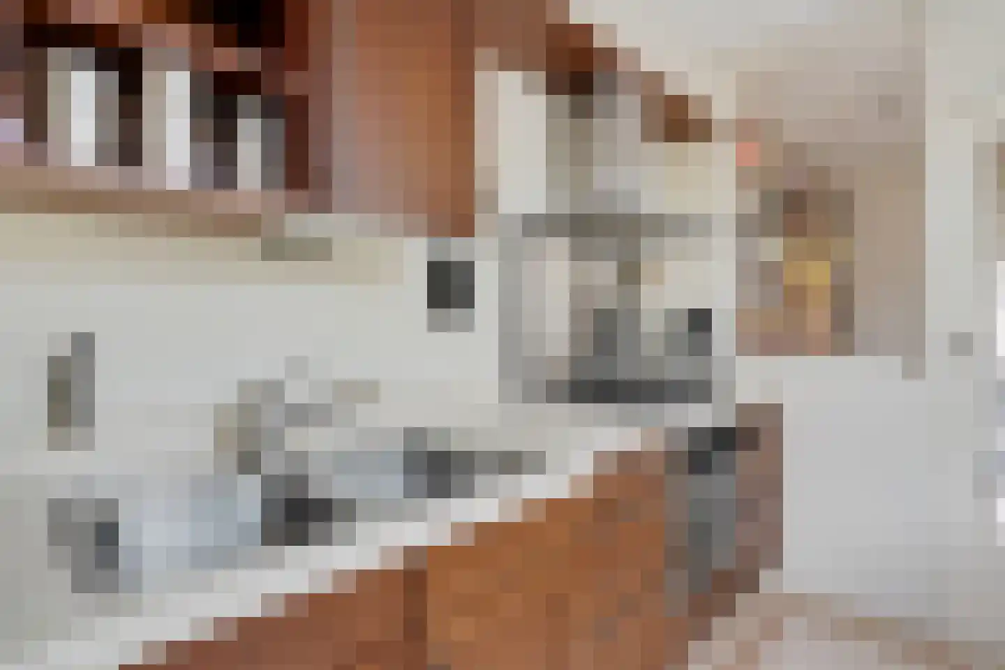 Maarten Harpertsz. Trompstraat 26 Zutphen thumbnail 10
