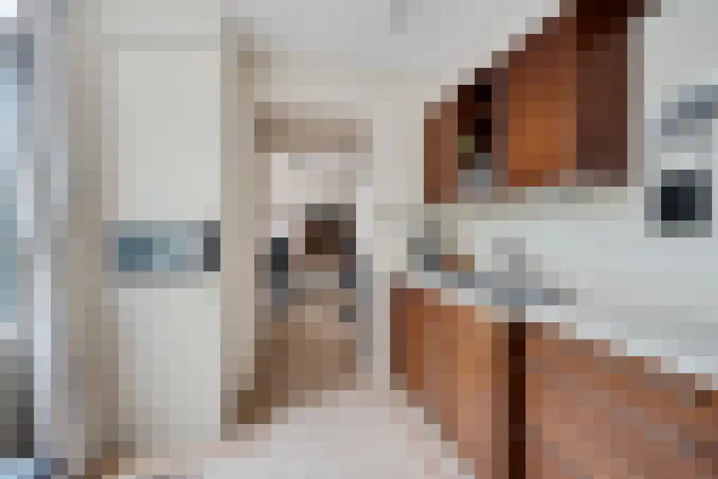 Maarten Harpertsz. Trompstraat 26 Zutphen thumbnail 12