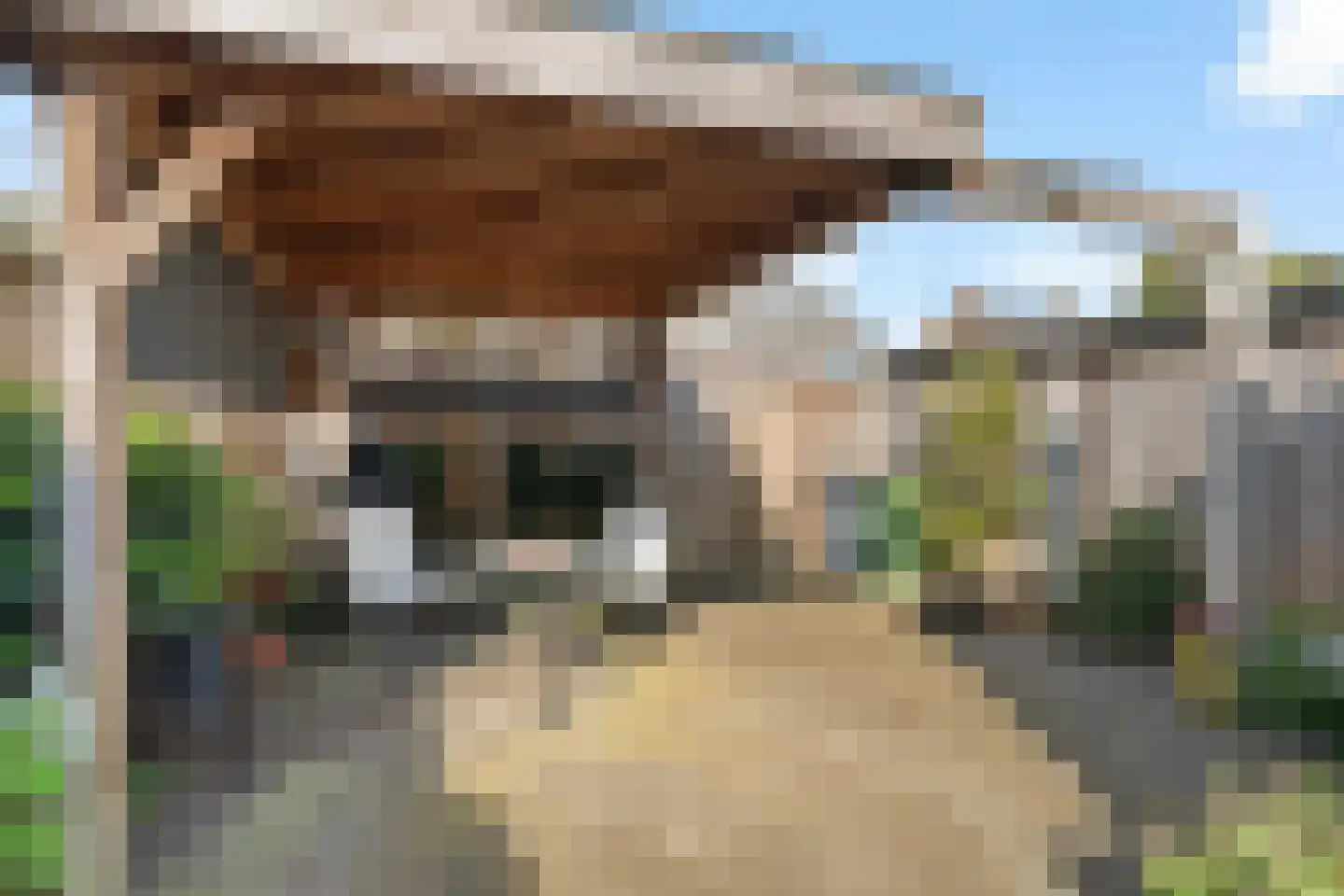 Maarten Harpertsz. Trompstraat 26 Zutphen thumbnail 31