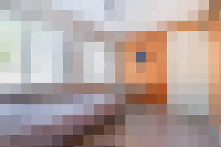 Maarten Harpertsz.Trompstraat 7 De Lier thumbnail 23
