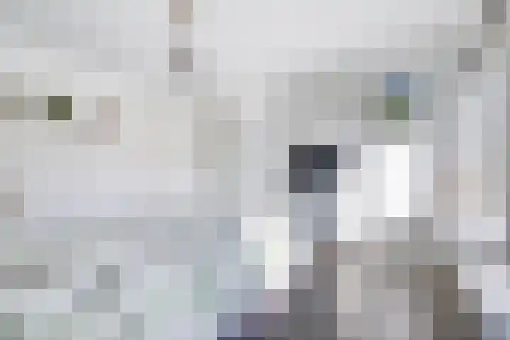 Maarten Harpertsz.Trompstraat 7 De Lier thumbnail 26
