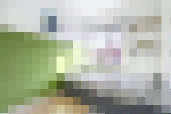 Maarten Harpertsz.Trompstraat 7 De Lier thumbnail 27