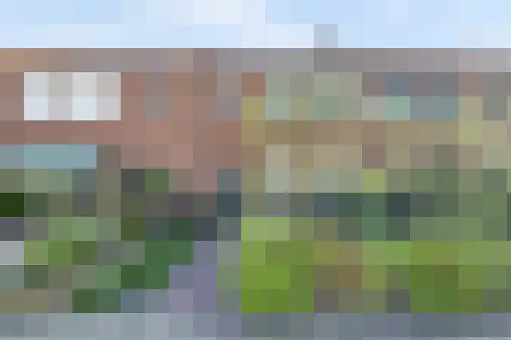 Maarten Harpertsz.Trompstraat 7 De Lier thumbnail 32