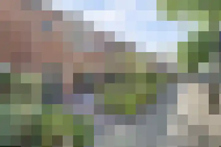 Maarten Harpertsz.Trompstraat 7 De Lier thumbnail 34
