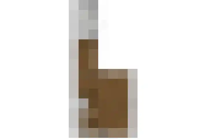 Maarten Harpertsz.Trompstraat 7 De Lier thumbnail 35