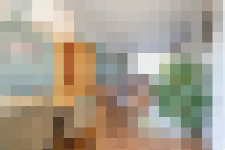 Maarten Harpertsz.Trompstraat 7 De Lier thumbnail 4