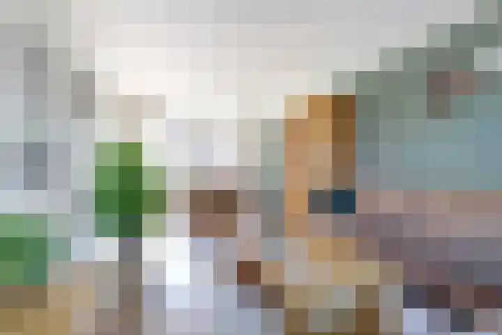Maarten Harpertsz.Trompstraat 7 De Lier thumbnail 7