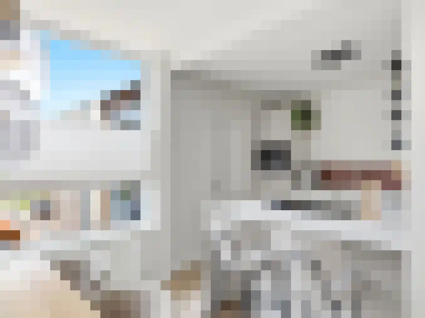 Maarten Harpertsz. Trompstraat 8 Zutphen thumbnail 10