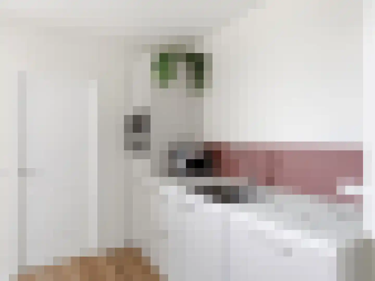 Maarten Harpertsz. Trompstraat 8 Zutphen thumbnail 11