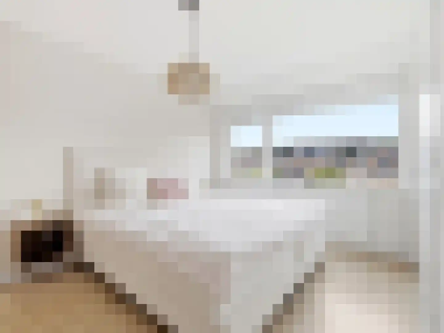 Maarten Harpertsz. Trompstraat 8 Zutphen thumbnail 16