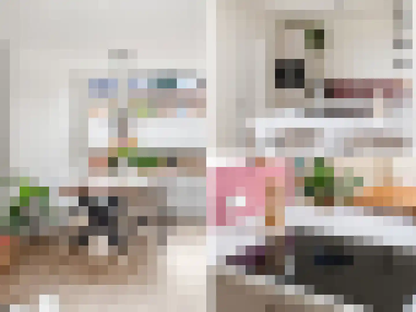 Maarten Harpertsz. Trompstraat 8 Zutphen thumbnail 9