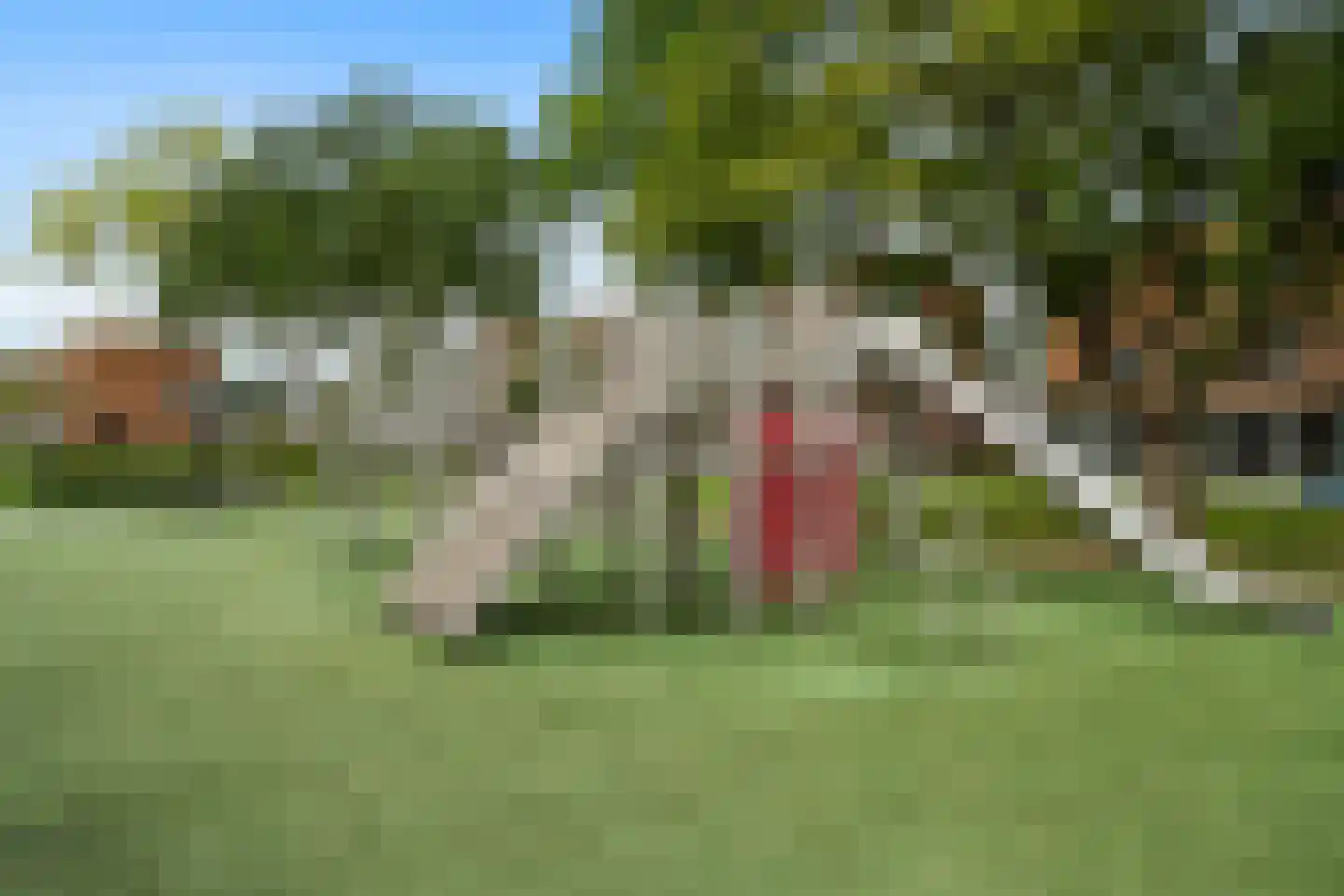 Maarten Harpertsz. Trompweg 138 Dordrecht thumbnail 38
