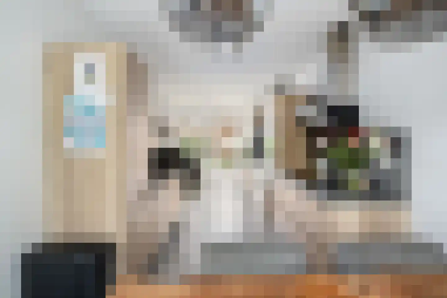 Maarten Harpertsz. Trompweg 138 Dordrecht thumbnail 8