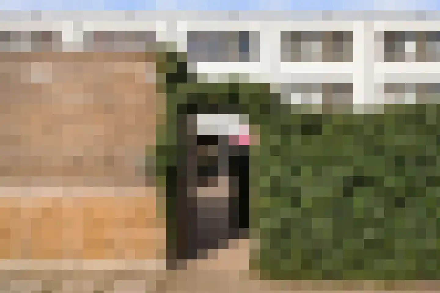 Maarten Harpertsz. Trompweg 152 Dordrecht thumbnail 31