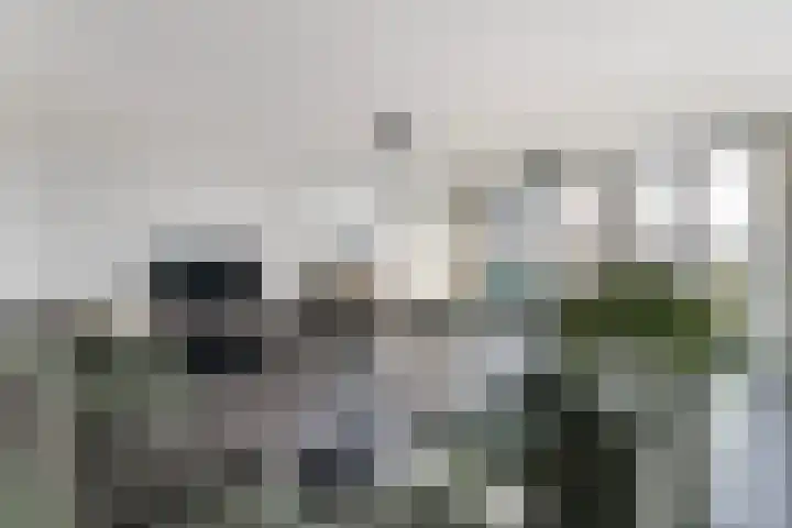 Maarten Harpertsz. Trompweg 94 Dordrecht thumbnail 11