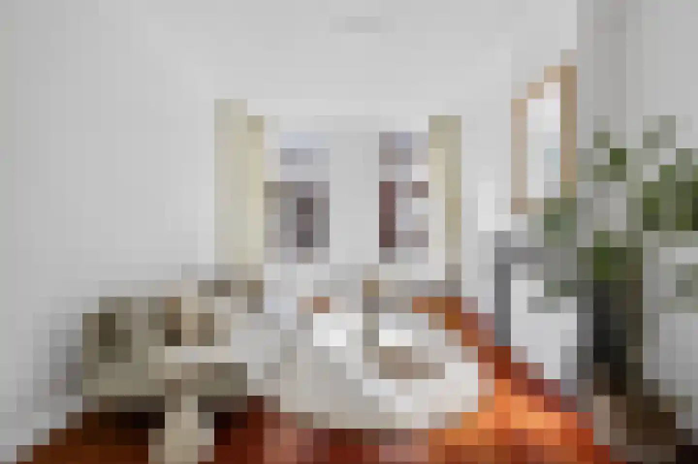 Maarten Harpertszoon Trompstraat 22 2 Amsterdam thumbnail 10