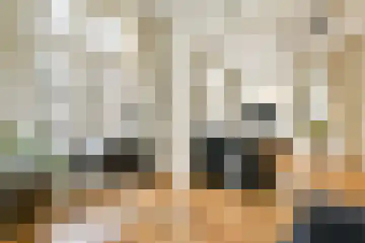 Maarten Harpertszoon Trompstraat 22 2 Amsterdam thumbnail 4