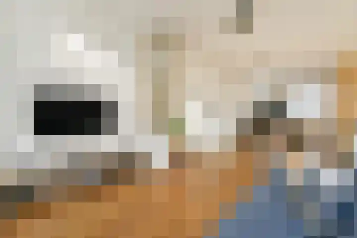 Maarten Harpertszoon Trompstraat 22 2 Amsterdam thumbnail 5