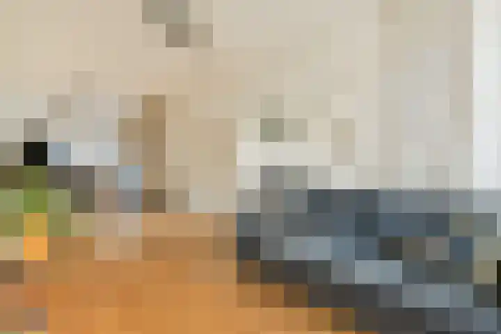 Maarten Harpertszoon Trompstraat 22 2 Amsterdam thumbnail 6