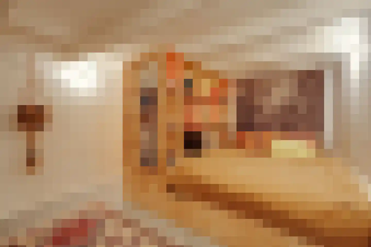 Maarten Harpertszoon Trompstraat 22 H Amsterdam thumbnail 36