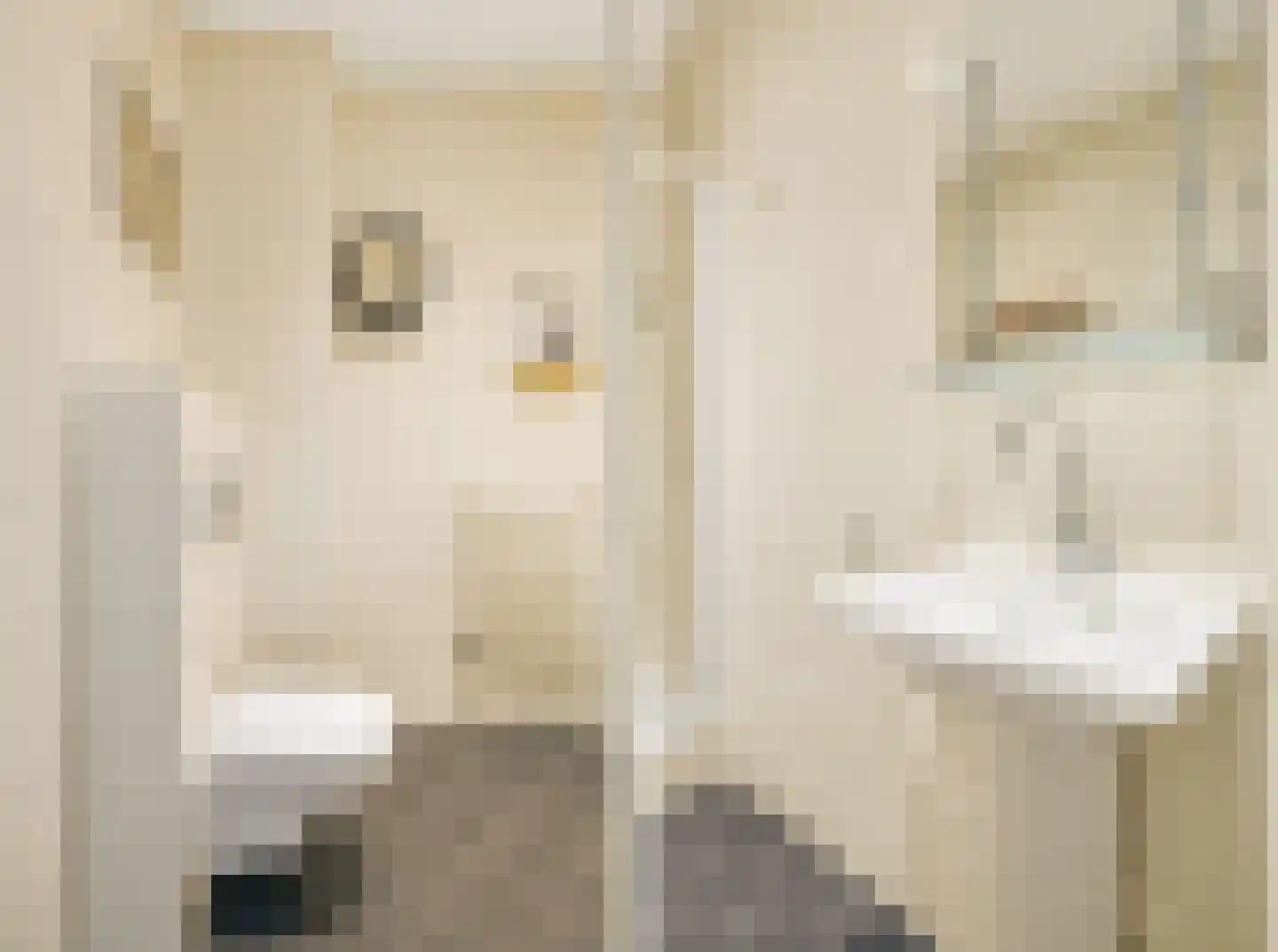 Maarten Harpertszoon Trompstraat 34 1 Amsterdam thumbnail 21