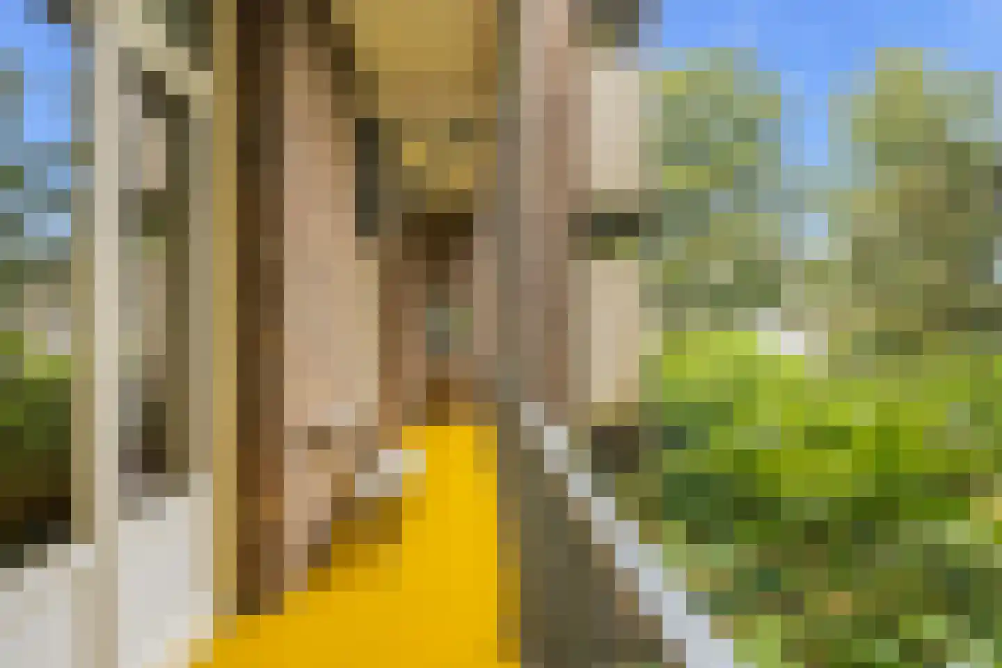Maarten Harpertszoon Trompstraat 34 1 Amsterdam thumbnail 22