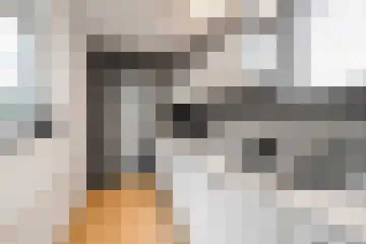 Maarten Harpertszoon Trompstraat 36 Den Helder thumbnail 16