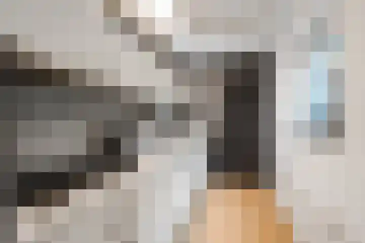 Maarten Harpertszoon Trompstraat 36 Den Helder thumbnail 17