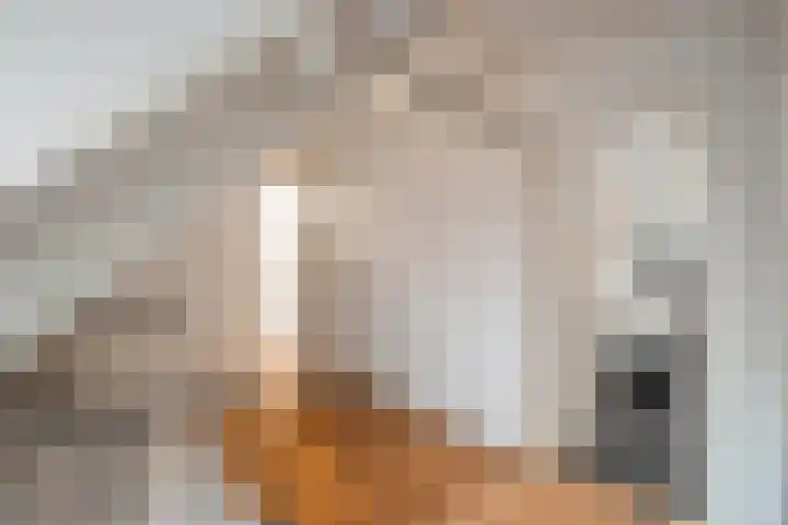 Maarten Harpertszoon Trompstraat 36 Den Helder thumbnail 33