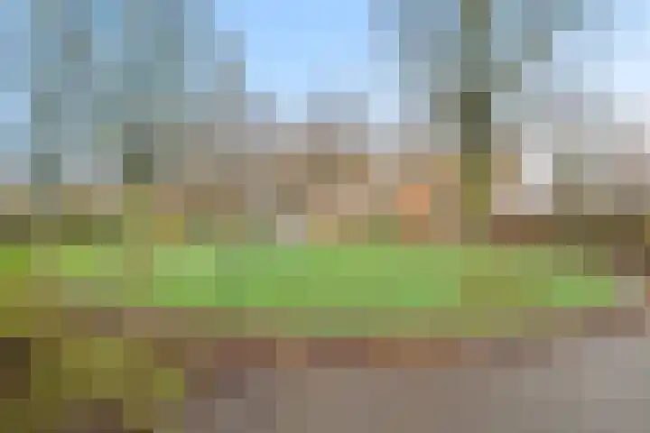 Maarten Harpertszoon Trompstraat 36 Den Helder thumbnail 5