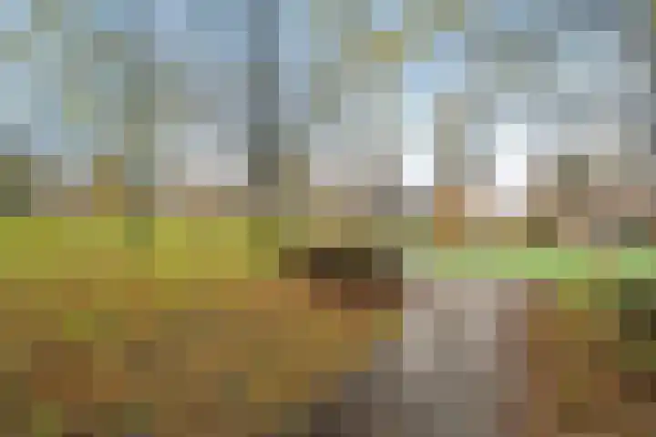 Maarten Harpertszoon Trompstraat 36 Den Helder thumbnail 6