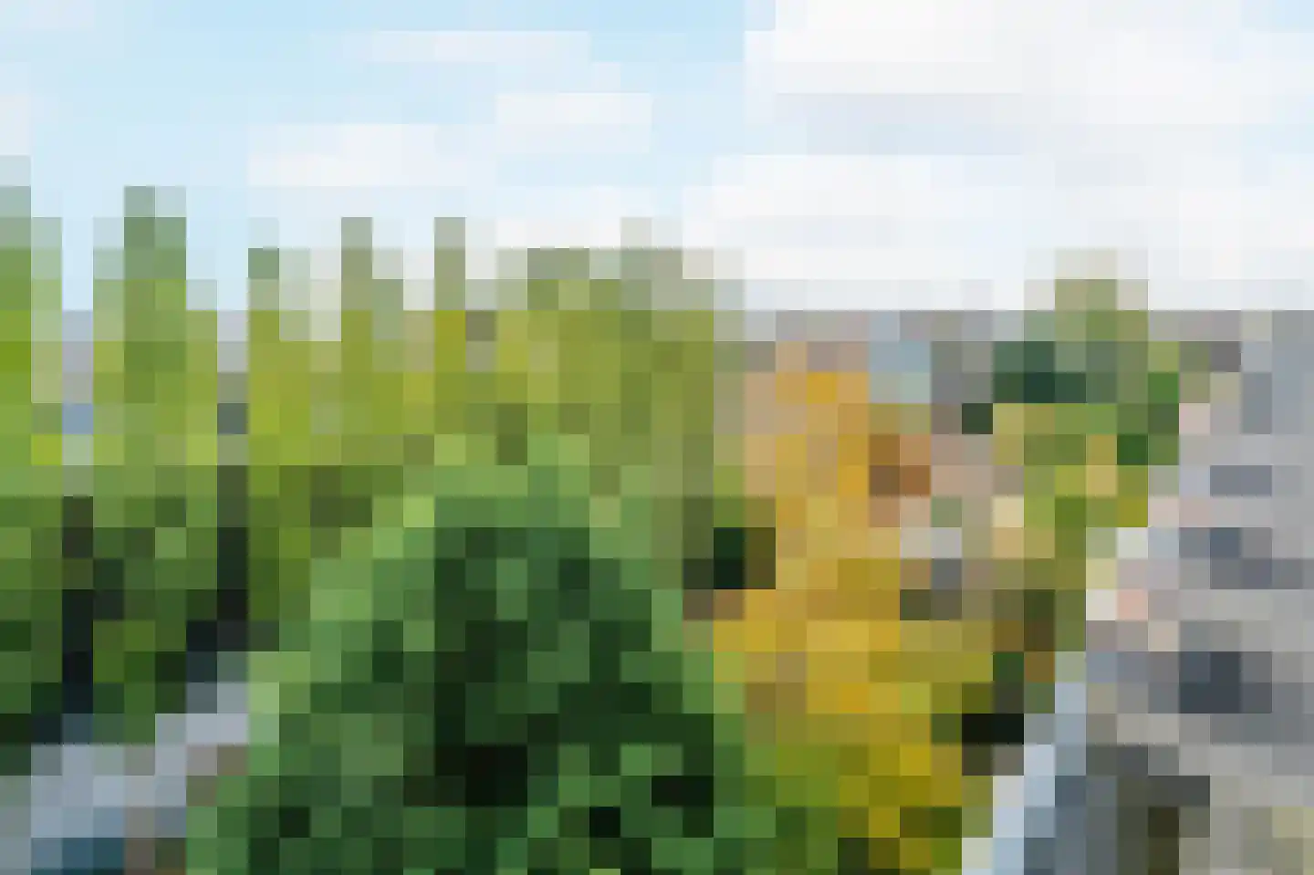 Maarten Harpertszoon Trompstraat 37 1 Amsterdam thumbnail 31