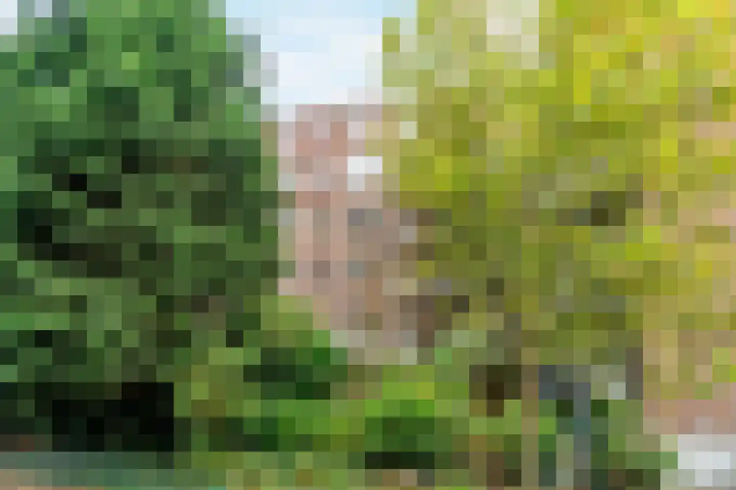 Maarten Harpertszoon Trompstraat 37 1 Amsterdam thumbnail 40