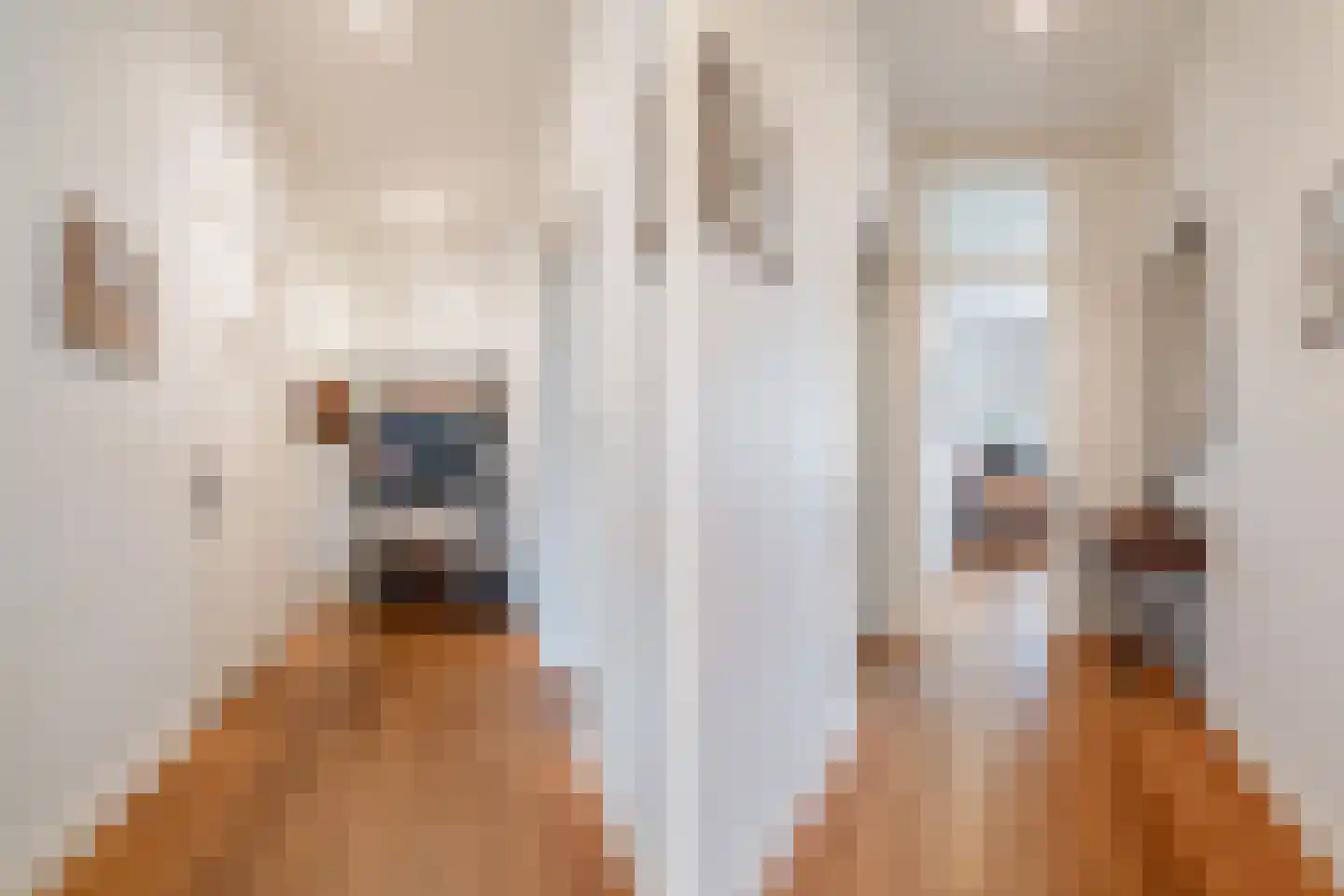 Maarten Harpertszoon Trompstraat 37 3 Amsterdam thumbnail 13