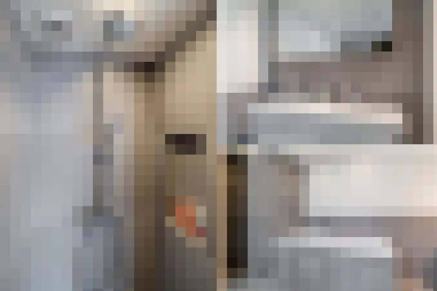Maarten Harpertszoon Trompstraat 37 3 Amsterdam thumbnail 24